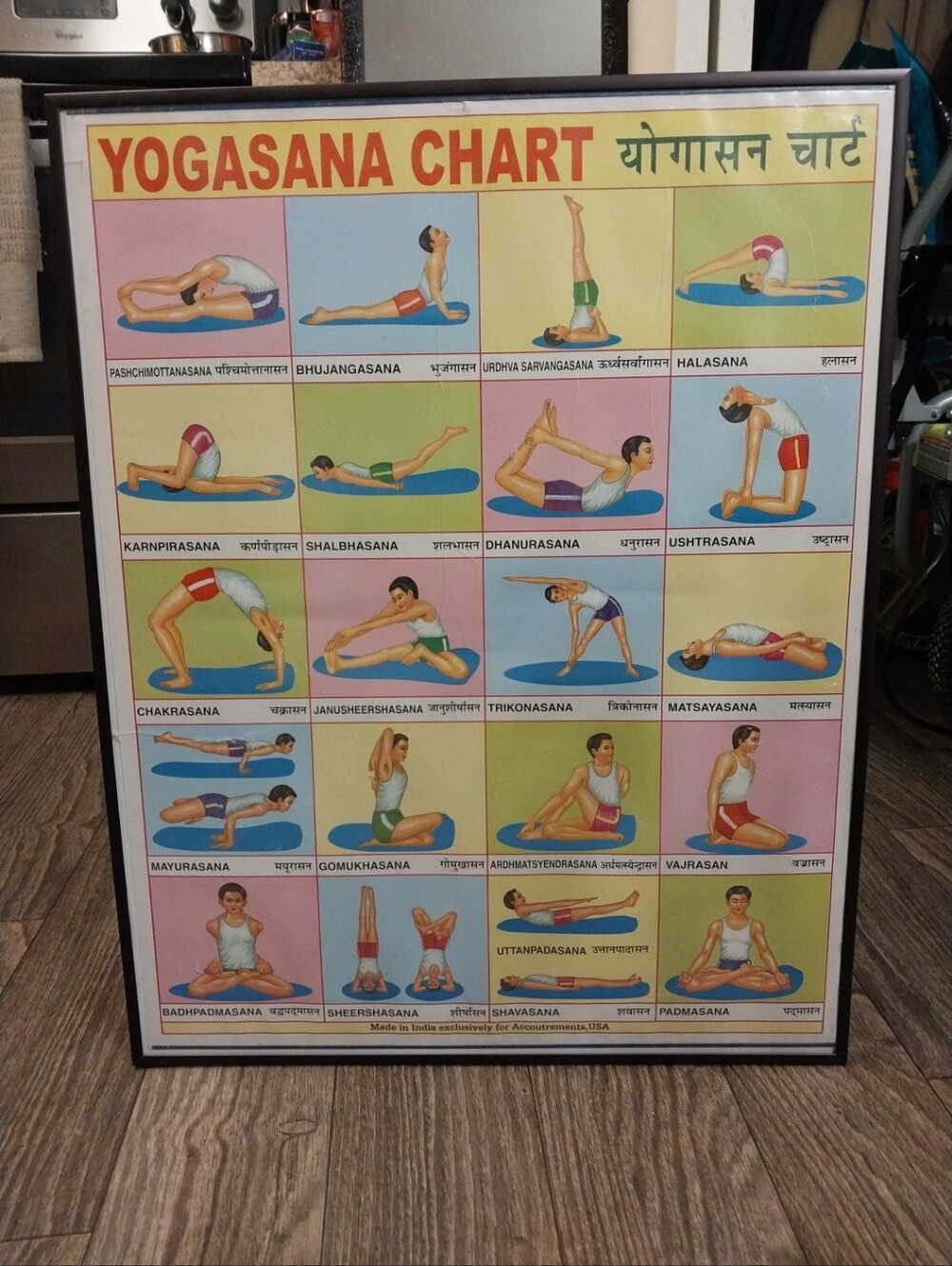Vintage -Yogasana Indian Chart Framed Poster - Multicolor-